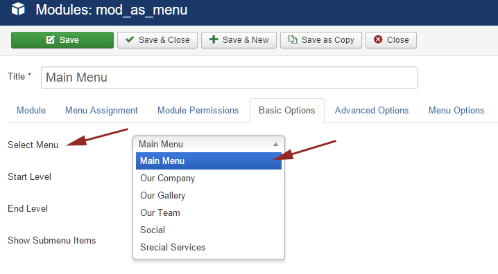 module menu basic options